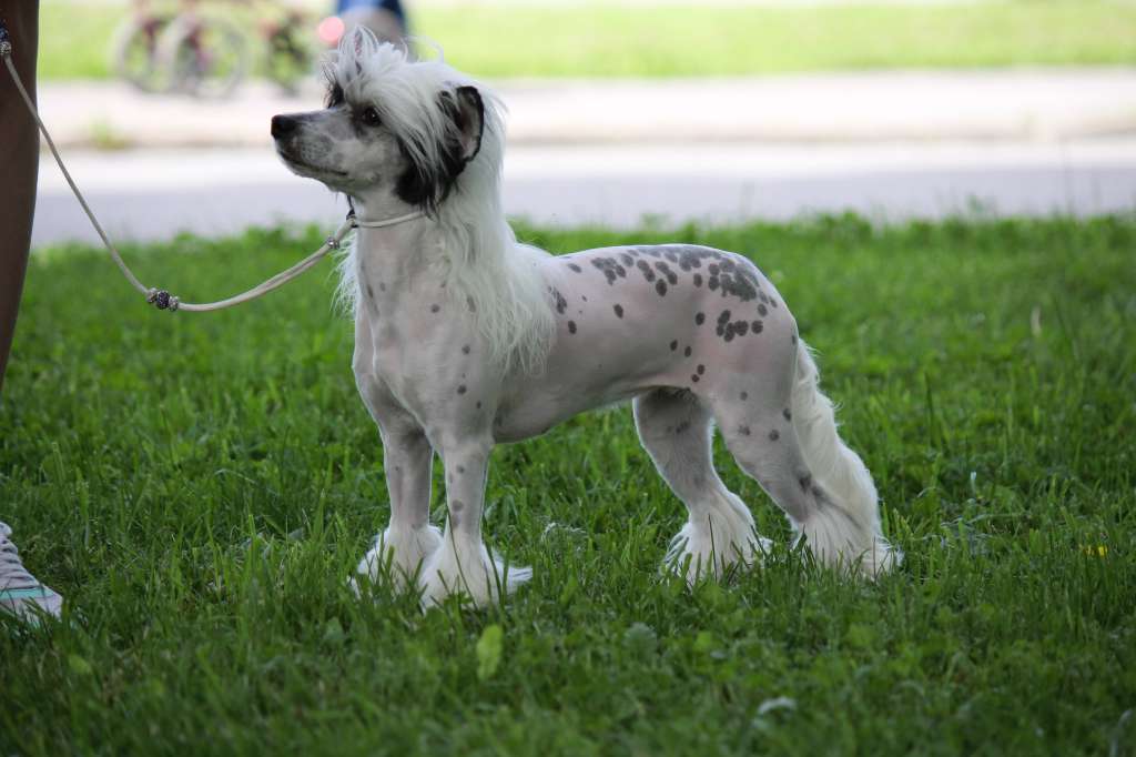 Love Bites Can I Play WIth Madness