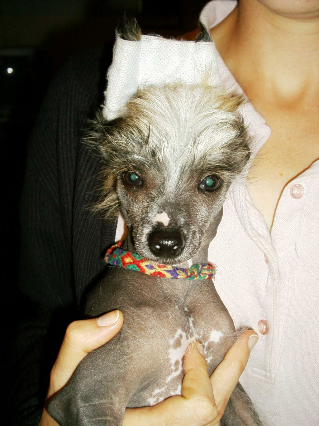 Butterfly Dancing Du Coeur Des Tenebres