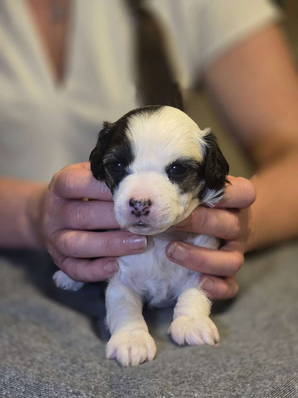 Miakoda's World On A String