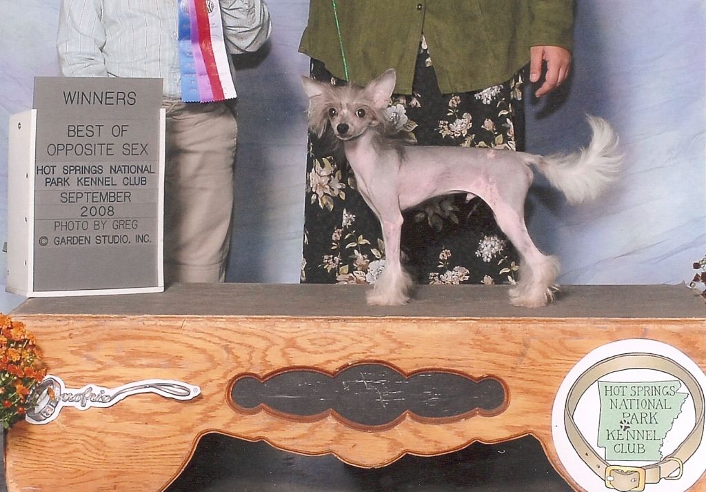 Ozark Cavern's I'll Make You Famous!