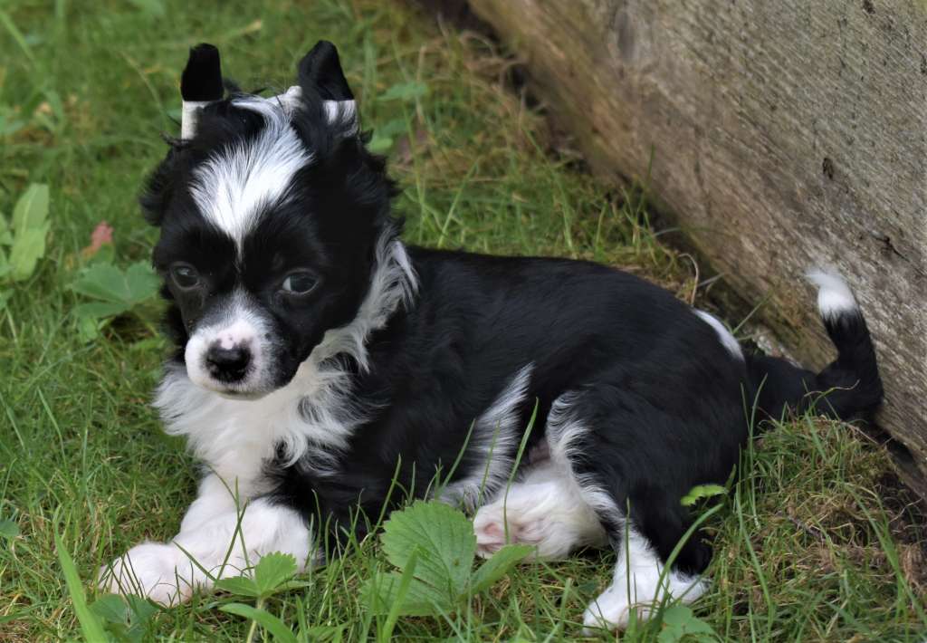 Infinity Nathan Pompinell'