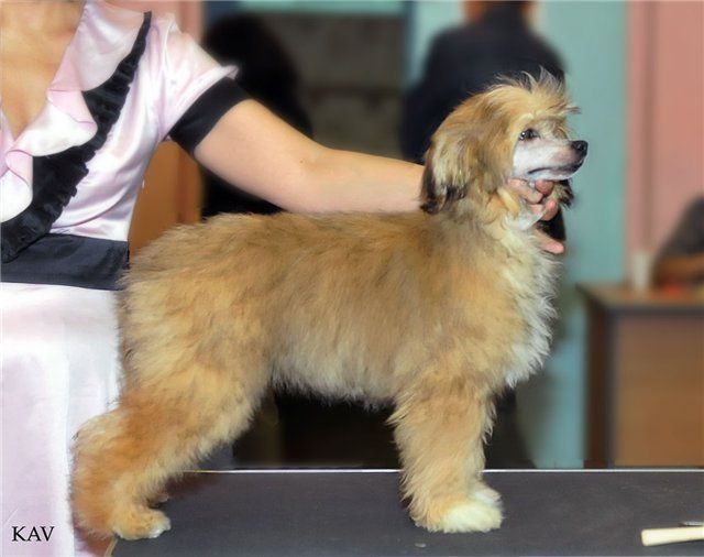 Work Wonders With You iz Diamond Sity