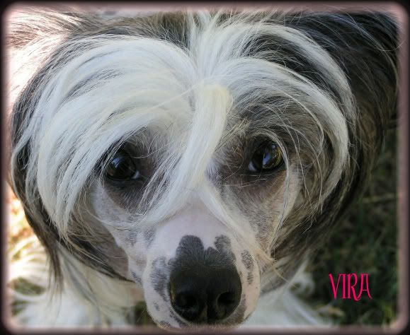 De La Mahafu's Vira Chakira