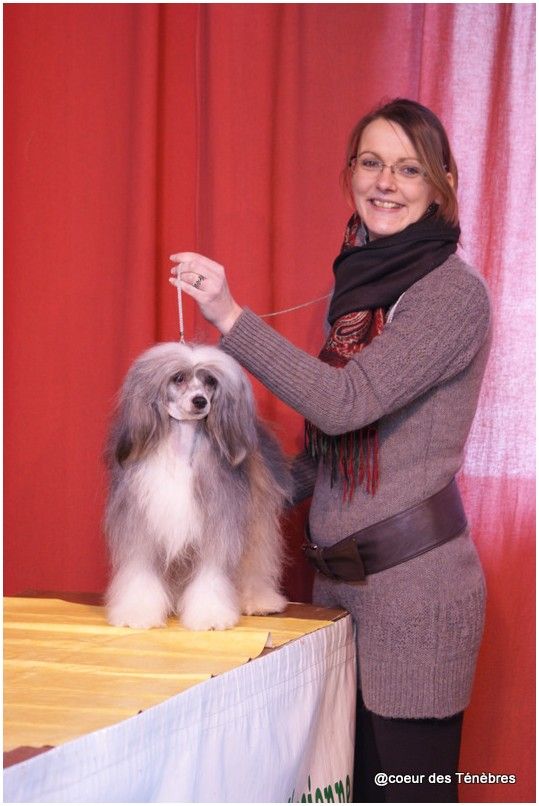 Elektra Dancing Girl Du Coeur Des Tenebres