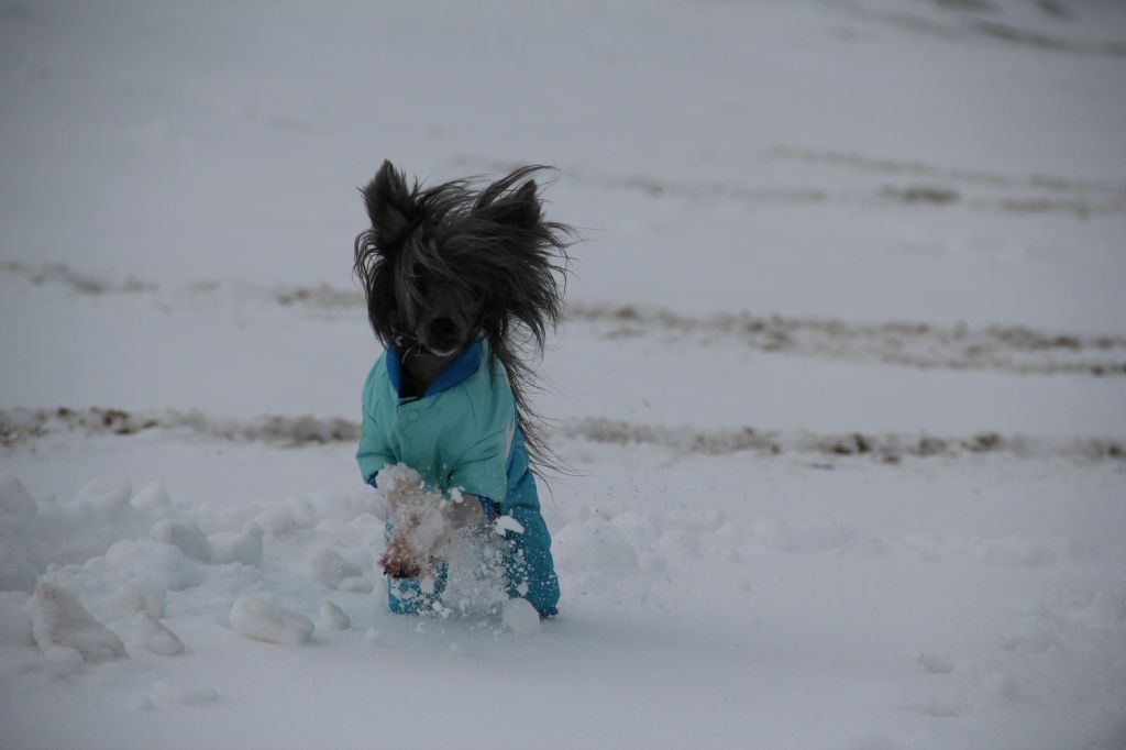 Dresscode-Zero Kinky Boots