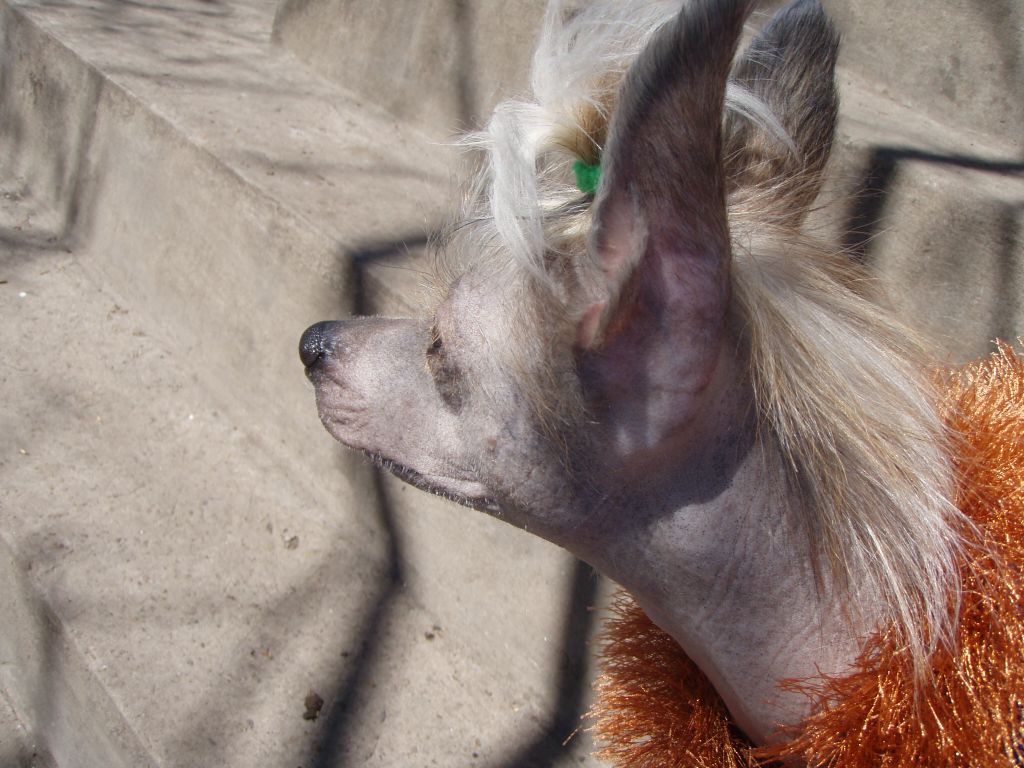 Martin Raspberry Paradise