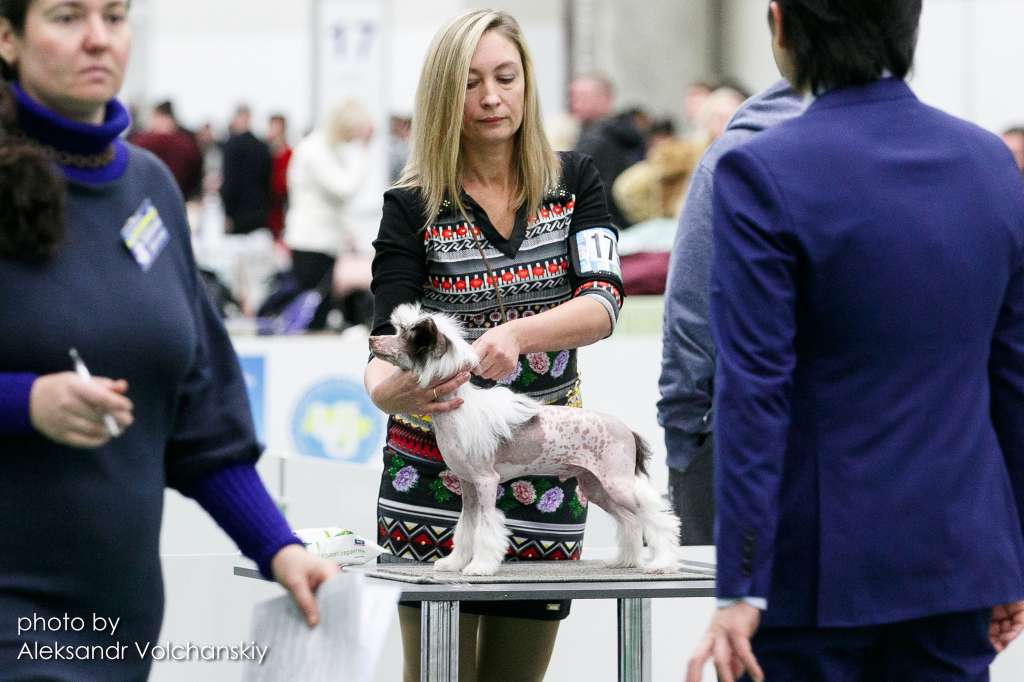 Xanthus Avalanch iz Clana Timurlana