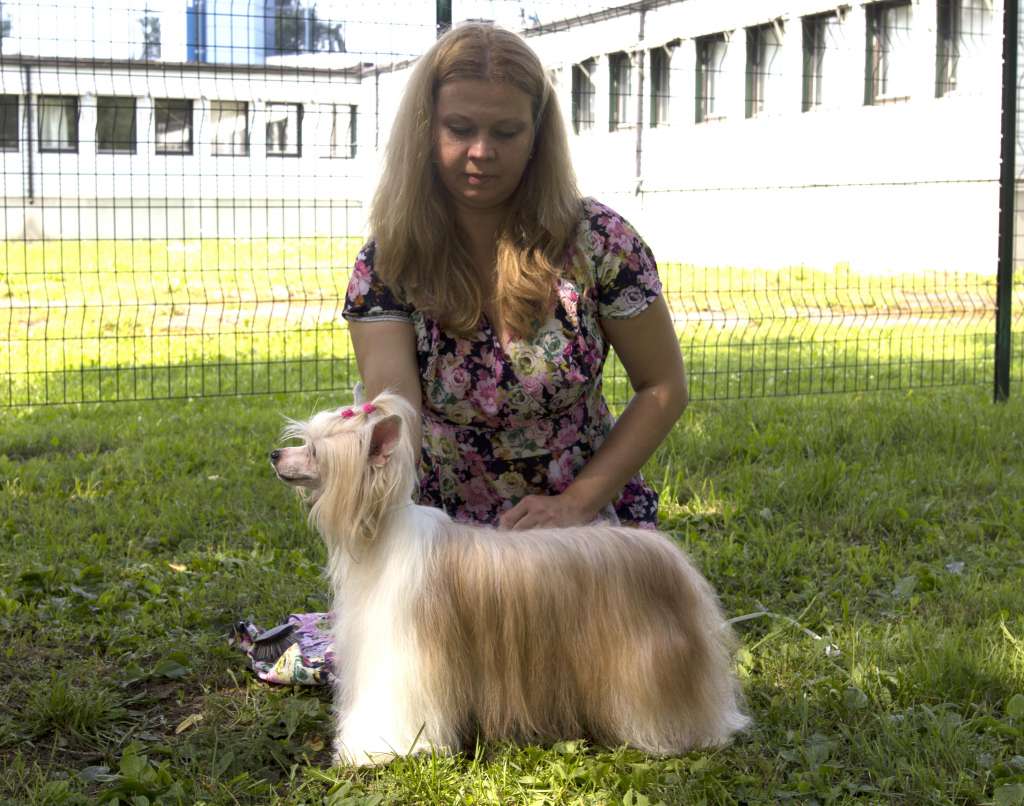 Moment of Glory Ayanami