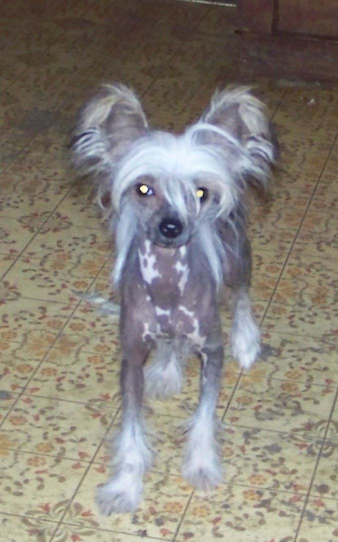 Rockyridge Charmed Jonbrecy