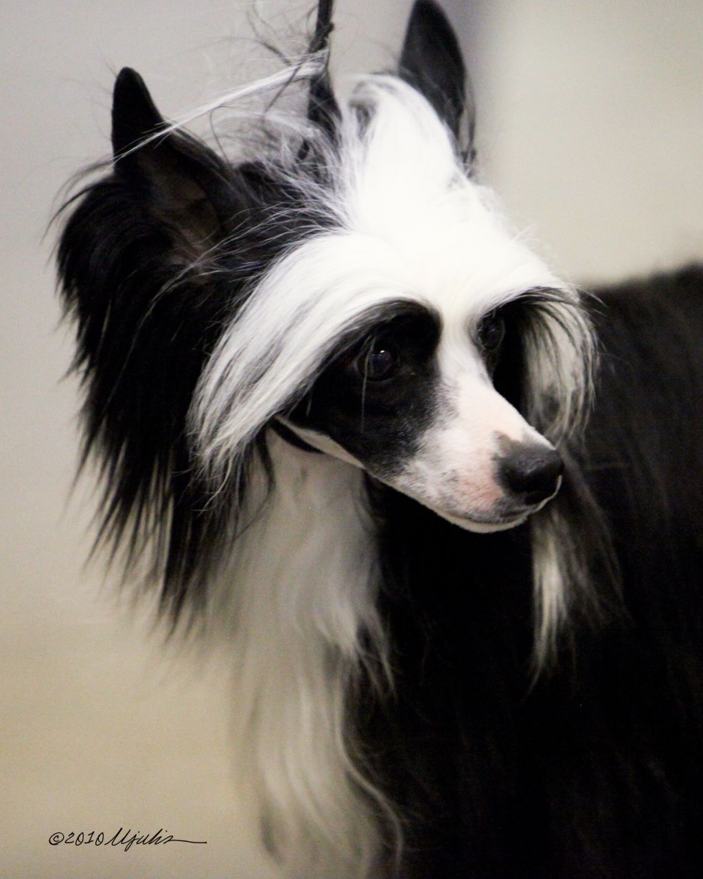 Canyons Moonlight Thru Shadow