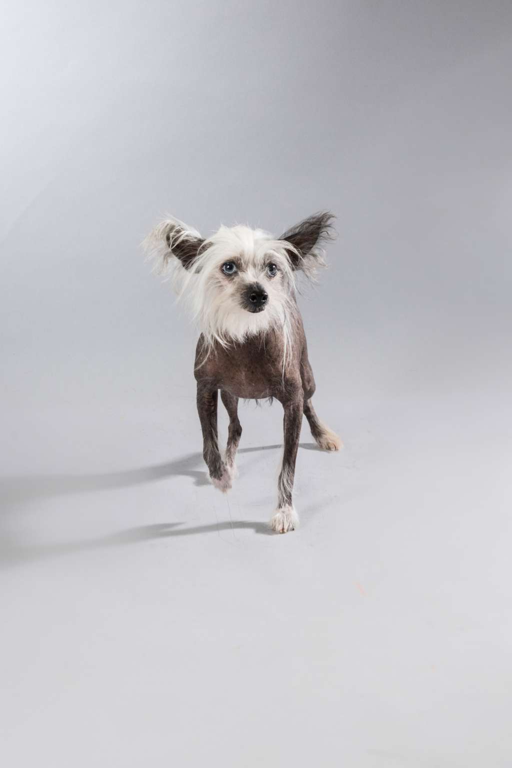 Mstical Beautiful Blue Magic Eyes