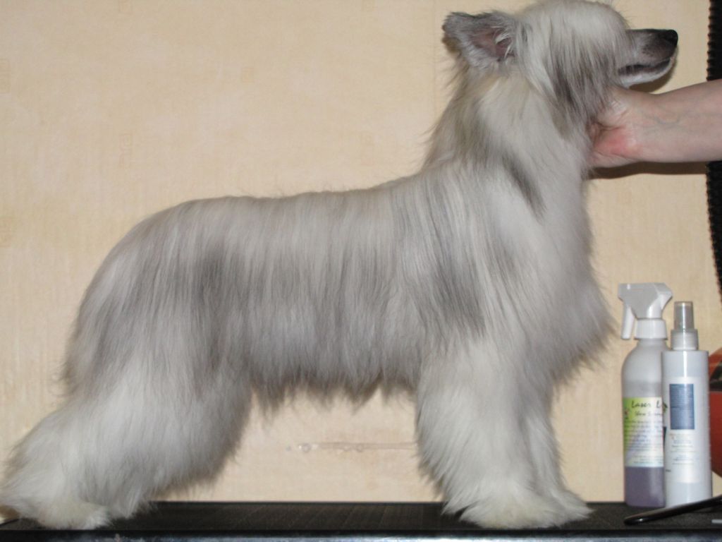 Bemu's Come And Get Me