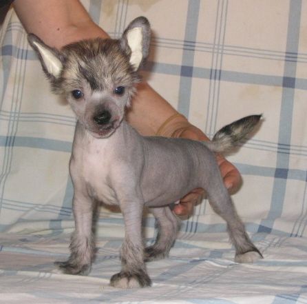 Bozo Gang's Jackpot For Us