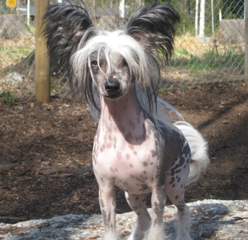 Nathali ze Zatopene Chajdy