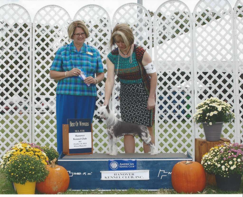 Palmetto Altacrest Fly Me To The Moon Bcat Dcat Fc