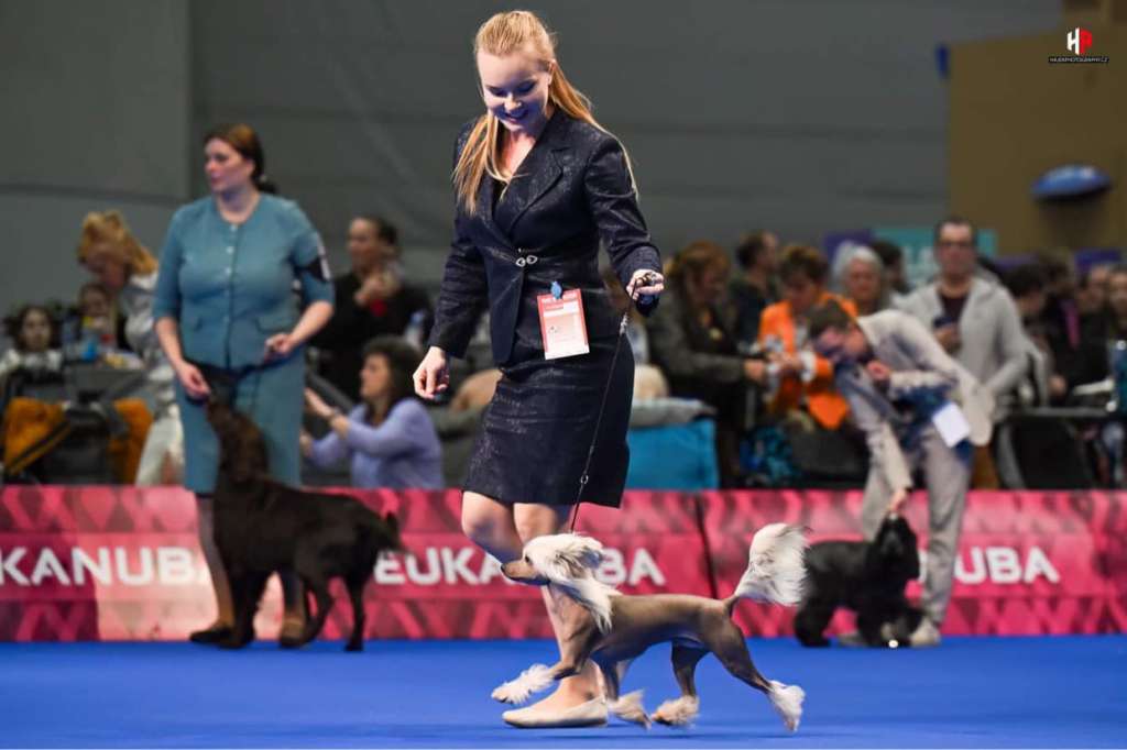 Leed's Infinity Titanforged Blake