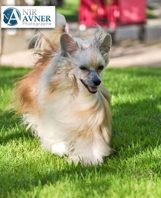 Just A Top Model De Rama