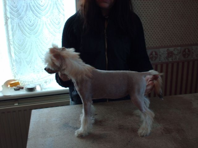 Doucai Simply Mesmorising