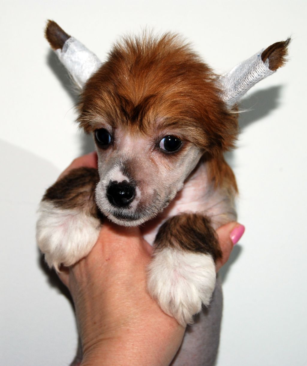 Cool Crowd's i'm Claudette Wyms