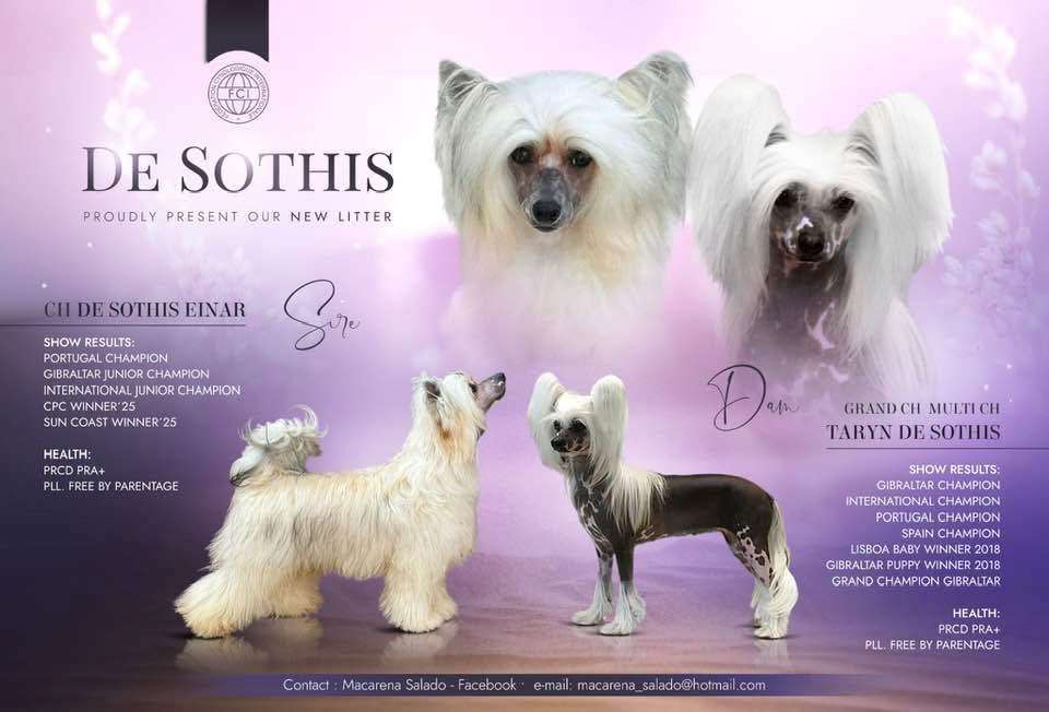 Dance Of The Stars De Sothis