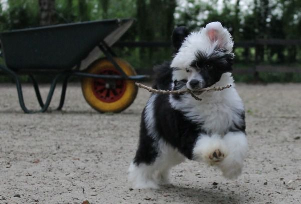 Night And Day Top Model De Rama