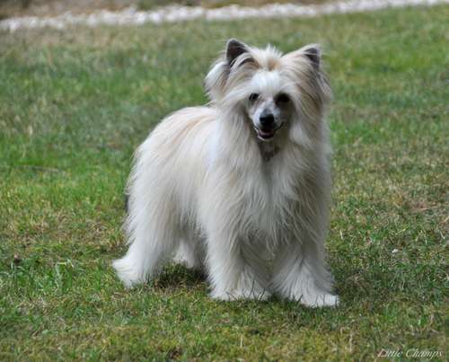 Next to you Little Champs