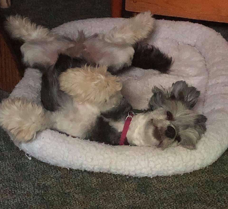 Raven's Orianna Elise