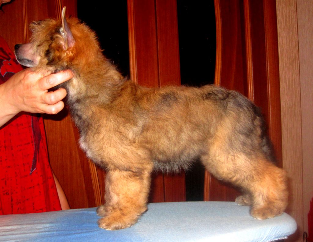 Olegro Katrin Roxana