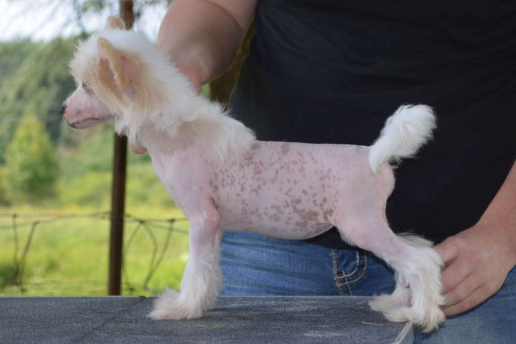 Kemar's Baroque Pearl