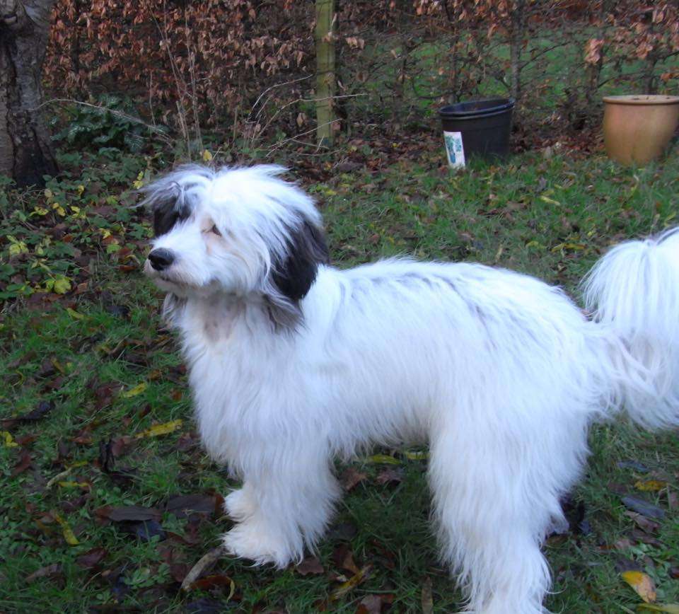 Hottie Tots Cloud No. 9