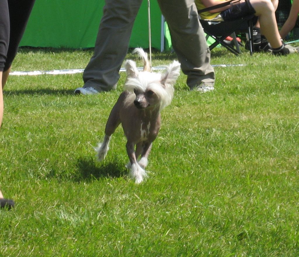 Belshaw's Full Speed