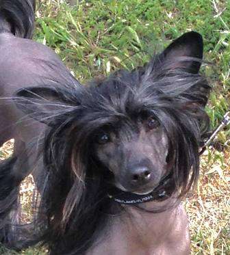 Silvercreek's River Song