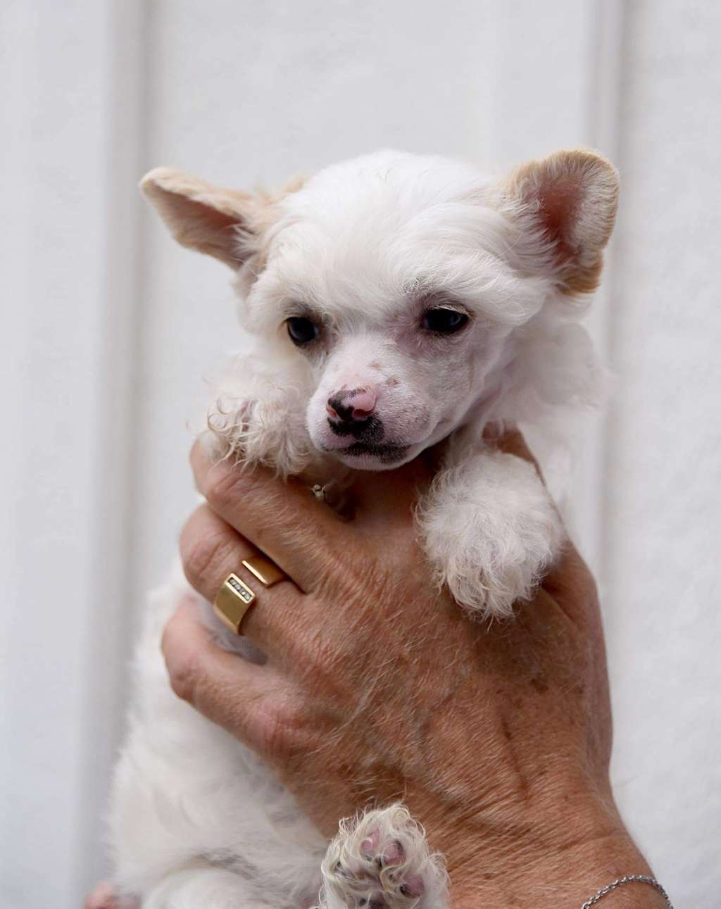 Jean Dark Zummer Lady