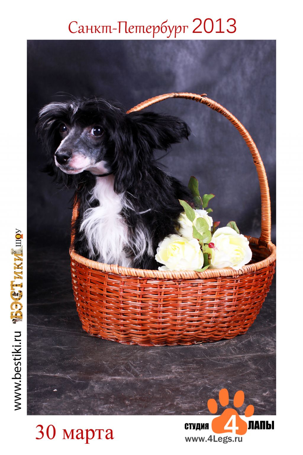 Alvine Band Teenager