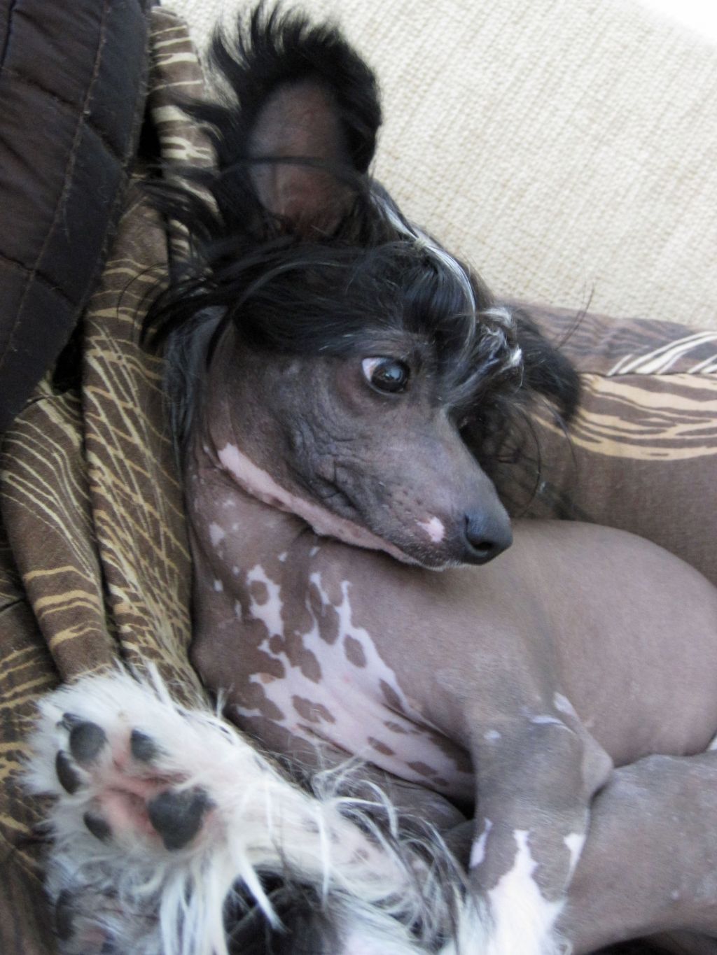 Kaunisvirran Yksi Pikku Myy