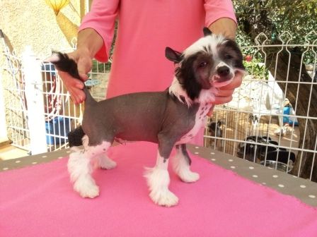 Indiana Jones des Picholines