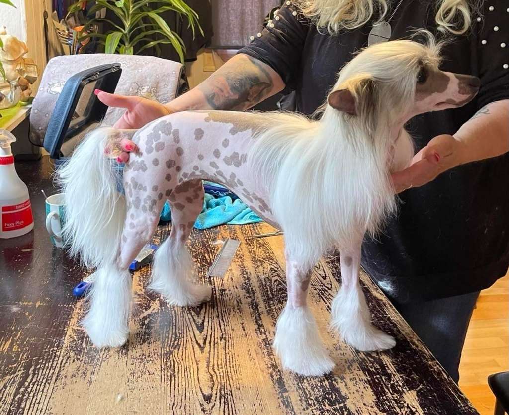 Fallon Winning Smile