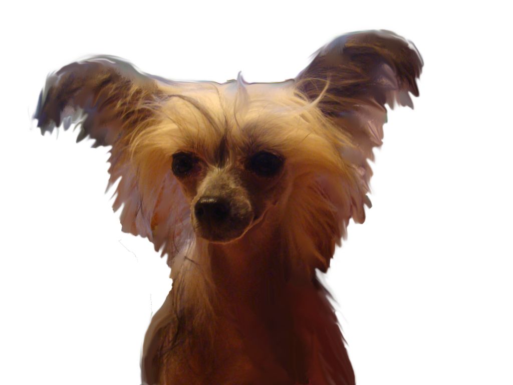 Spiritual Star Sprite