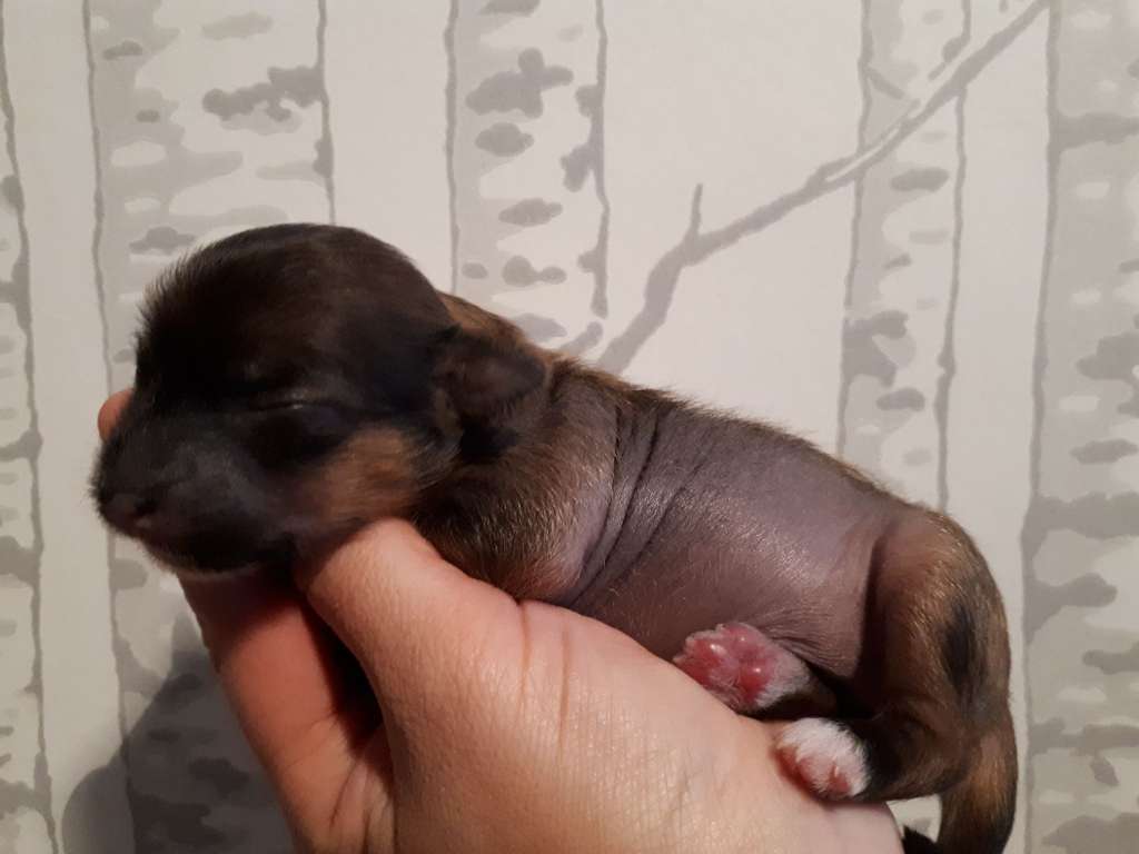 Concrete Clouds Blackout