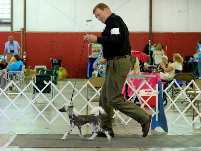JRF-Evercrest Swing Dance at Sully's Creek