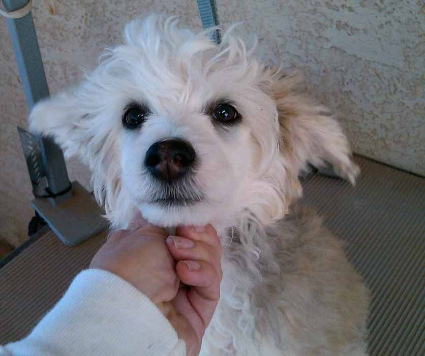 Crest-Vue What'Cha Gonna Do