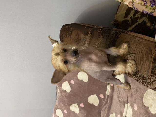 AkDeniz Just for Fun