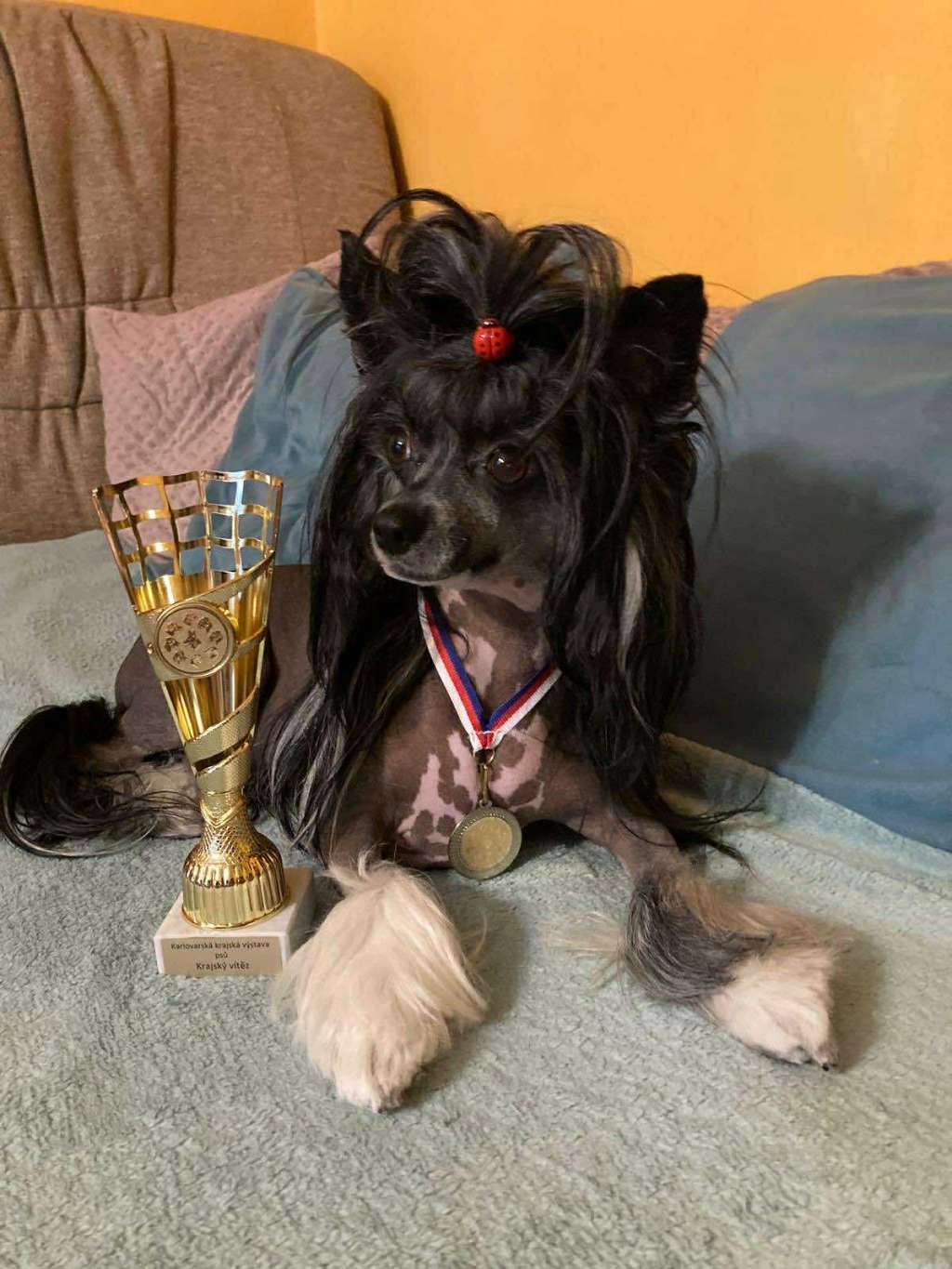 Black Angel Kings of Dreams