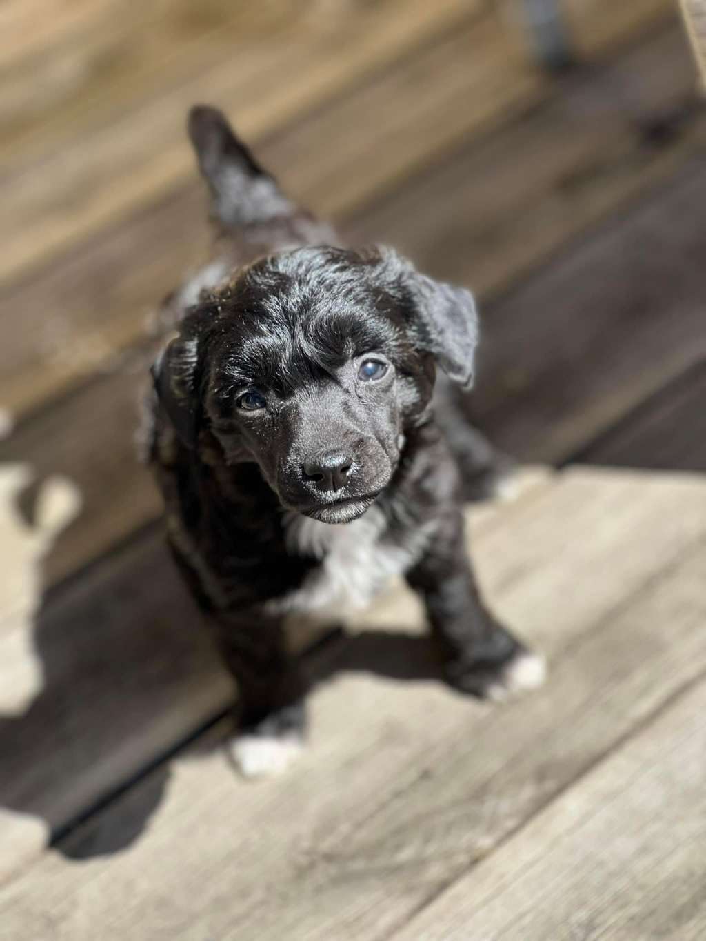 Swerotts Feel Like A S-Aint