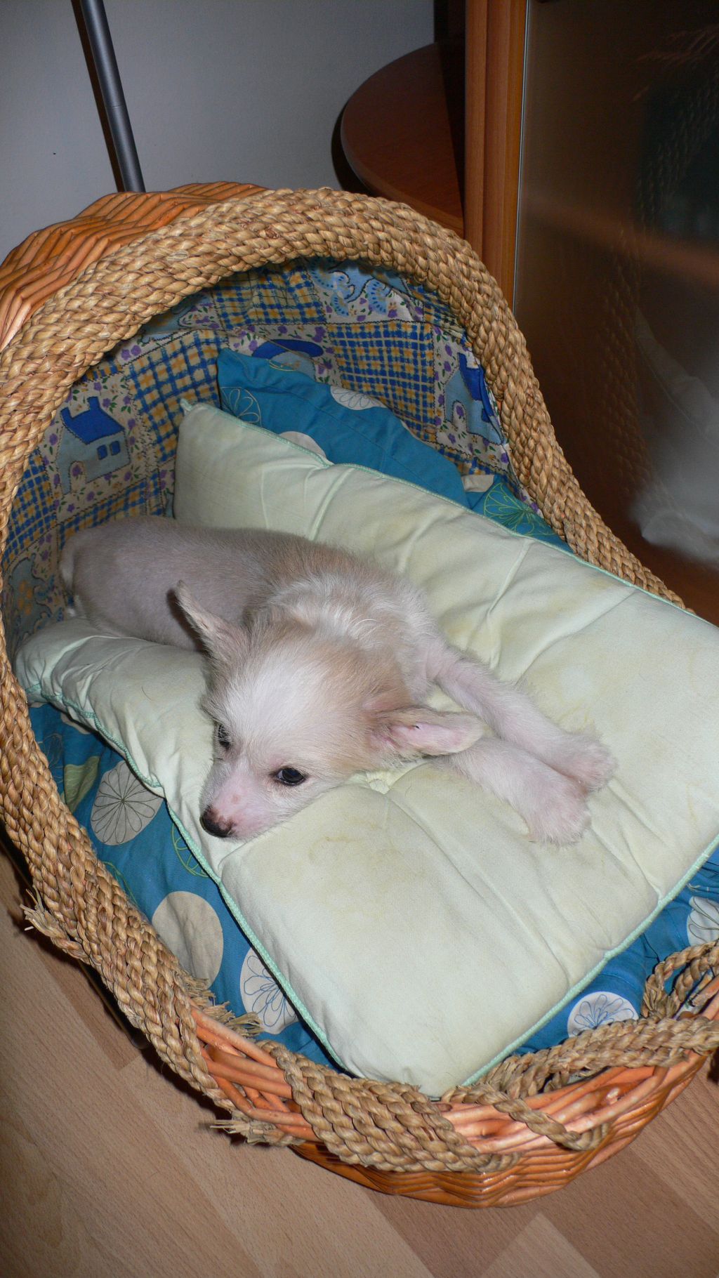 Sun Dan Summer Coctail