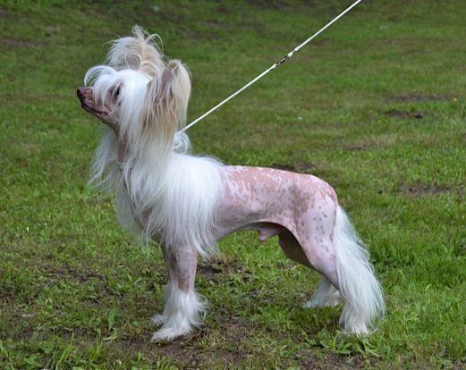 My Spell Belongs To Me