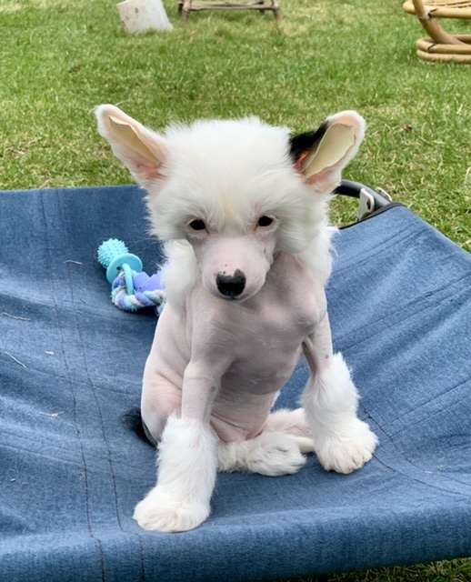 AkDeniz Open Your Heart