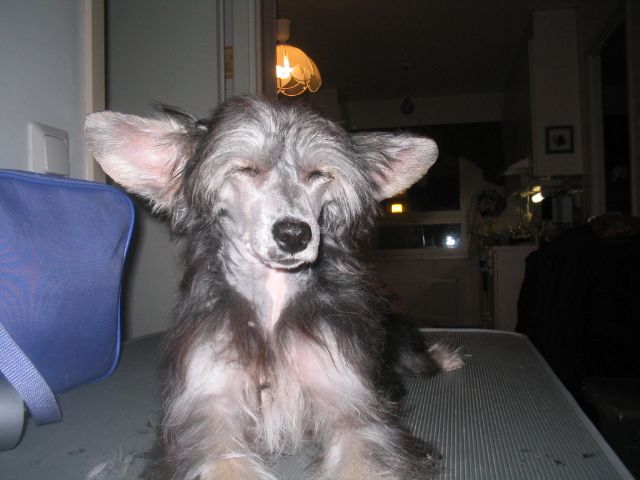 Sun Dan King Of The Hill