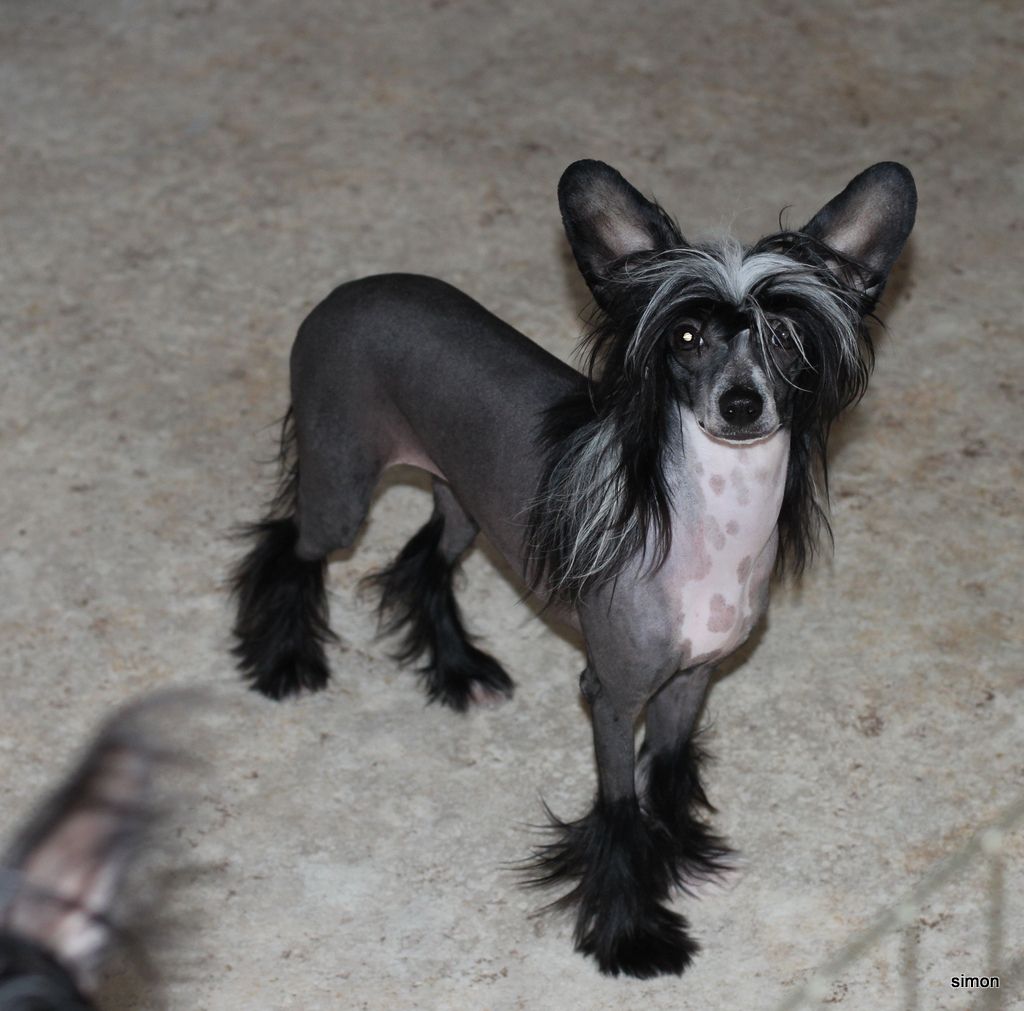 M.T.O. Love Comes Softly