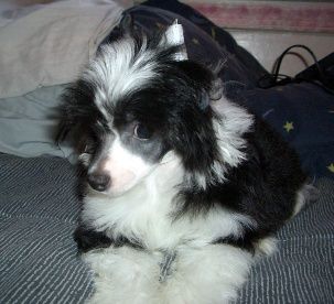 Kamaji Double Take PP